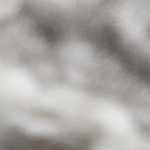 light gray, medium gray, off white, rust, charcoal