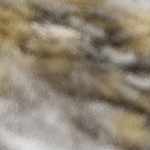 light gray, medium gray, off white, rust, charcoal