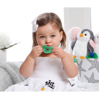 razberry teether target