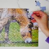 KI Puzzles Donkey 100 Piece Photographic Collection Jigsaw Puzzle - 4 of 4