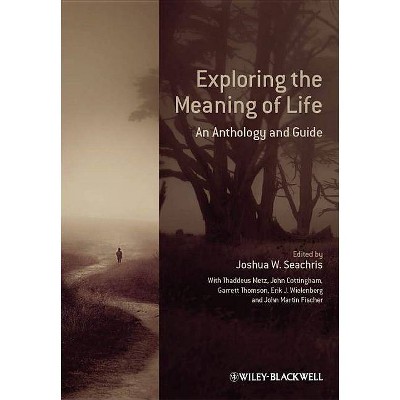 Exploring the Meaning of Life - by  Joshua W Seachris (Paperback)