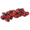 Yellow Door Ladybug Stones  - Set of 22 - 2 of 3