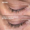 Dr. Brandt Dr. B Lab Lash & Brow Serum - Growth & Conditioning Formula for Longer, Fuller Hair Follicles - 0.17 fl oz - 3 of 4