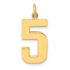 Black Bow Jewelry 14k Yellow Gold, Athletic Collection, Large Polished Number 5 Pendant - 1 of 4