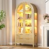 Fredees 70.9" Freestanding Arched Glass Display Cabinet with Color LED Motion Light, Tempered Doors, Storage Drawers for Home or Office - 3 of 4