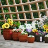 KTMBDW Plant Pots, Ceramic Planters with Drainage Holes,Nursery Planting Pot for Indoor Out Door Plants - 2 of 4