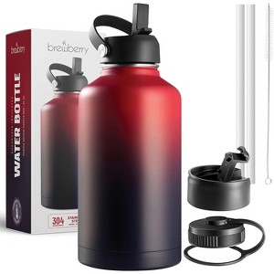 Brewberry Insulated Water Bottle and Travel Mug for Hot and Cold Beverages - 1 of 4
