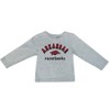 NCAA Arkansas Razorbacks Toddler Boys' T-Shirt - 3 of 3