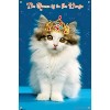 Trends International Keith Kimberlin - Kitten - Queen Unframed Wall Poster Prints - 4 of 4