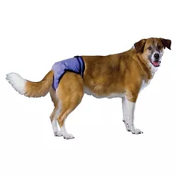 PoochPants Diapers for Pets - Blue - XL
