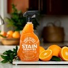 Angry Orange Enzyme Spray Stain Remover - 24oz - 2 of 4