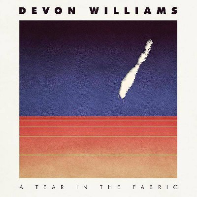 Williams Devon - A Tear In The Fabric (CD)