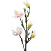 Northlight Magnolia Artificial Floral Sprays- 33" - White and Pink - Set of 4 - 4 of 4