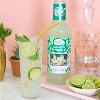 Master of Mixes Mojito Drink Mix - Ready to Use - 1 Liter Bottle (33.8 Fl Oz) - Mixer Perfect for Bartenders and Mixologists - 2 of 4