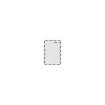 LUX 9 x 12 Open End Envelopes (9 x 12) - Airmail - Pack of 50 (2444749) 4894-AIR-50