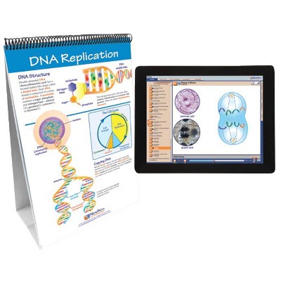 NewPath Learning Mitosis: Cell Growth & Division Flip Chart and Online Multimedia Lesson