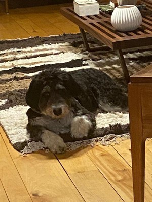 Guest review image 2 of 2, zoom in