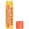 Burt's Bees Lip Balm Sweet Peach Blister Box - 0.15oz - 2 of 4