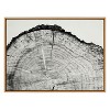 Kate and Laurel Sylvie Tree Rings BW Framed Canvas by Emiko and Mark Franzen of F2Images - 2 of 4