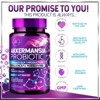 Akkermansia Muciniphila Probiotic Supplement with Inulin Fiber - 2 Billion AFU - 60 Capsules - 3 of 4