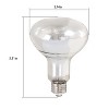 REPTI ZOO Reptile Sun Lamp Self-Ballasted Vapor 100W - 3 of 3