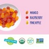 Yum Earth Tropical Fruit Snacks Box - 7oz/10ct - 3 of 4