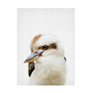 Canvas Wall Art - Lola Peacock  'Peekaboo Kookaburra' Wall Art for Living Room, Bedroom, or Office Décor by Trademark Fine Art - 1 of 4