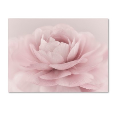 Soft Pink Rose Floral Framed Canvas Art 24'' x 32''