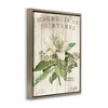 Stupell Industries French Magnolias In Spring Floating Frame Canvas Art - 2 of 4