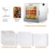 YASHE 10-Tray Stainless Steel Food Dehydrator, 10 Presets, 48H Timer, 850W, for Jerky, Herbs, Meat, Fruits, Dog Treats, Recipes Included - 2 of 4