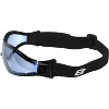 2 Pairs of Birdz Eyewear Boogie Safety Goggles - 4 of 4