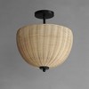 Maxim Lighting Maldives 2 - Light Semi-Flush Mount in  Black - 3 of 4