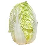 Napa Cabbage - 10oz