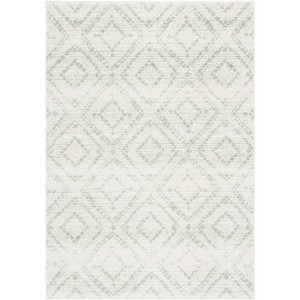 Adirondack ADR131 Non-Shedding Power Loomed Indoor Rugs - Safavieh - 1 of 4