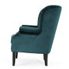 Tomlin New Velvet Club Chair - Christopher Knight Home - 4 of 4