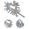 Unique Bargains Women's Fashion Elegant Conch Hair Clips 4.33"x2.56"x1.57" 1 Pc - 3 of 3