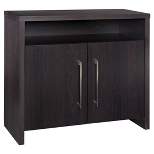 Storage Furniture 2 Door File Cabinet - Black Walnut - ClosetMaid