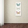 Trademark Fine Art -Lisa Audit 'Rainbow Seeds Butterflies I' Canvas Art - 3 of 3