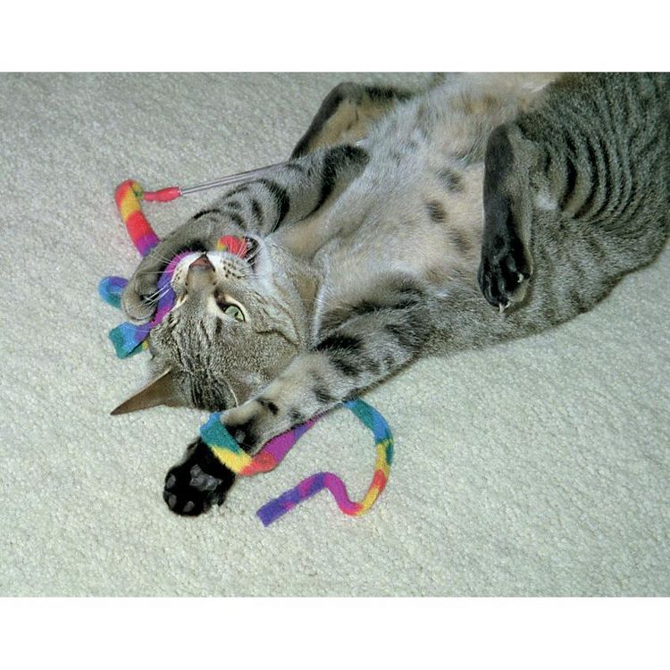Cat Dancer Cat Charmer Interactive Cat Toy Wand RAINBOW, 3 of 4