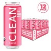 CLEAN Cause Watermelon Mint Organic Sparkling Yerba Maté Tea - 16 fl oz Can - 3 of 4