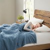 Heated Electric Blanket for Cold Weather, Fast Heating, Cozy Faux-Shearling Heated Blanket, Auto Shut Off, 20 Heat Settings, UL Certified - 2 of 4