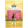 Nature's Recipe Grain Free Salmon, Sweet Potato & Pumpkin Recipe Dry Dog Food - 4 of 4
