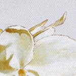 farmhouse gray