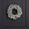 Christmas Shadow Woods Flocked Spruce 24in Wreath, Pre-Lit 30 Warm White LED Lights, 110 PE/PVC Tips, Plug in - 2 of 4