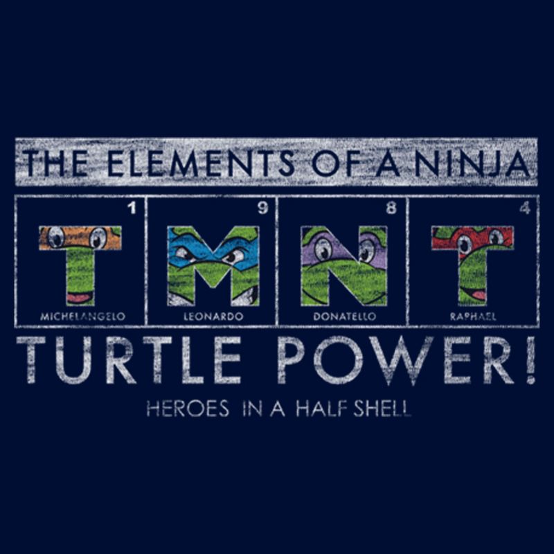 Boy's Teenage Mutant Ninja Turtles Distressed The Elements of a Ninja T-Shirt, 2 of 5