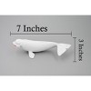 Collectible Wildlife Gifts | Whale, Beluga, White Whale, Museum Quality, Rubber, Hand Painted, Realistic Toy Figure, Model, Gift,   7"  CH380 BB142 - 2 of 4