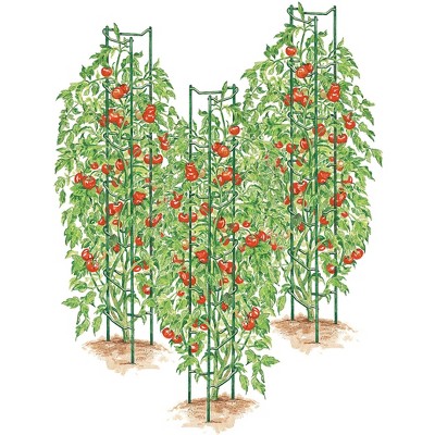 Green Powder-Coated Steel Tomato Ladders Set of 3