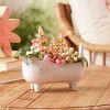 Ceramic Cat Planter (Set of 6) - 3 of 3