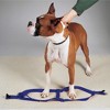 Casual Canine Nylon 2 Step Harness 9-15In Blue - 2 of 4