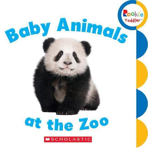 Baby Animals At The Zoo Rookie Toddler By Rebecca Bondor Board Book Target